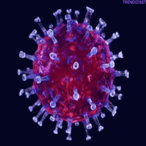 coronavirus-covid19.gif