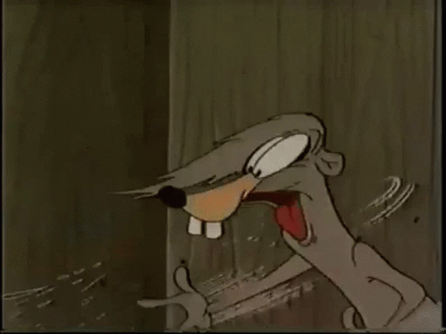 looney-tunes-cartoon.gif