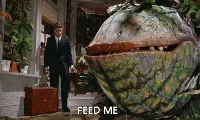Feed Me, Seymour.. FEED ME! 7
