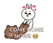 brown cony come here go back dont go