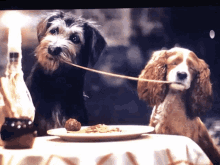 Lady And The Tramp Spaghetti GIF - Lady And The Tramp Spaghetti Kiss GIFs