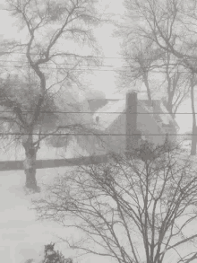 snow blizzard