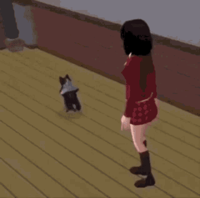 Breakdance Cat GIFs Tenor