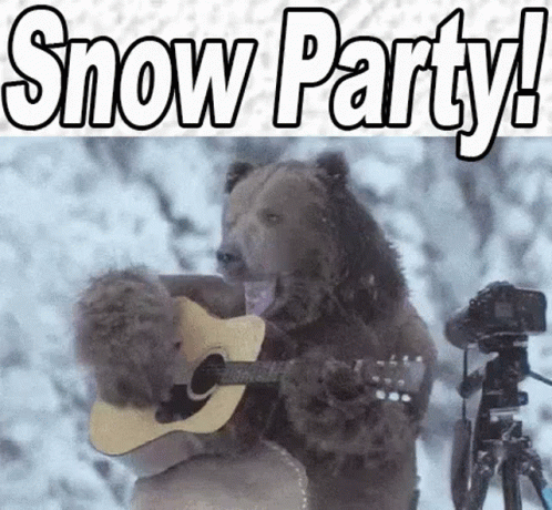 Snow Day Snow Party GIF - Snow Day Snow Party Let It Snow Let It Snow Let It Snow GIFs