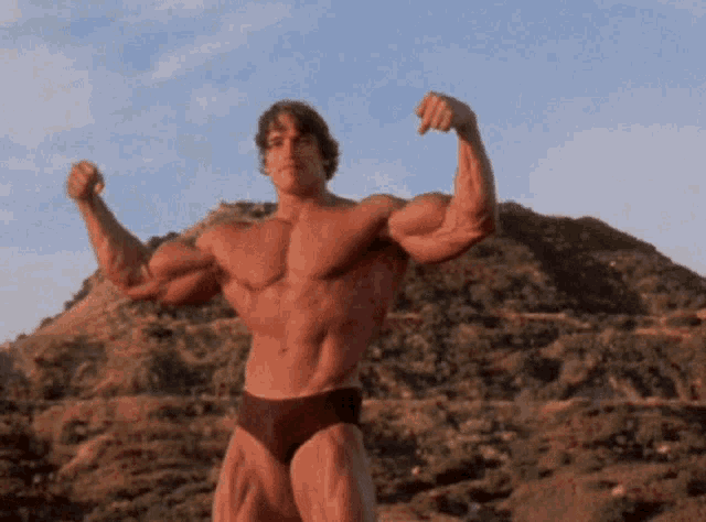 Pumping Iron Arnold Schwarzenegger GIF - Pumping Iron Arnold Schwarzenegger Fitness GIFs