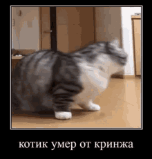 кринж Mario GIF - Кринж Mario Cringe - Discover & Share GIFs