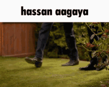 Hassan Aagaya GIF - Hassan Aagaya Hassan GIFs