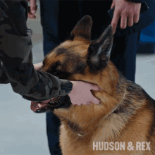 Petting The Dog Rex GIF - Petting The Dog Rex Diesel Vom Burgimwald GIFs