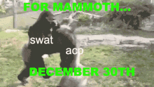 Swat Clubpenguin GIF - Swat Clubpenguin Mammoth GIFs