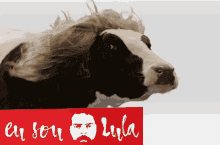 Lula Luiz GIF - Lula Luiz Pt GIFs