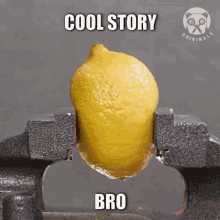 gif bro