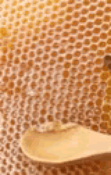 Honey Honeycomb GIF - Honey Honeycomb Bee GIFs