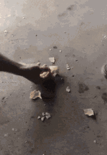 Hungry Shoe Chips GIF - Hungry Shoe Chips Shoes GIFs