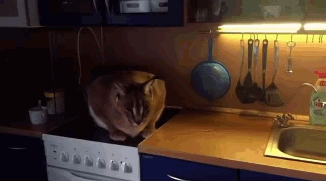 Big Floppa Caracal GIF - Big Floppa Floppa Caracal - Discover &amp; Share GIFs
