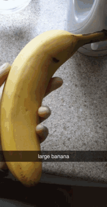 Banana Large Banana GIF - Banana Large Banana Humongous Banana GIFs
