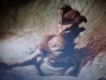salacious crumb gif salacious crumb gif
