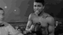 goat greatest of all time boxing muhammad ali knock out