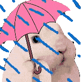 Bunny Rain Sticker - Bunny Rain Stickers