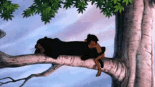 jungle book bagheera mowgli sleeping