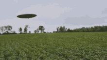Flying Saucer Ufo GIF - Flying Saucer Ufo Aliens GIFs