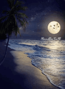 Beach Background Moonlight GIF - Beach Background Beach Moonlight GIFs