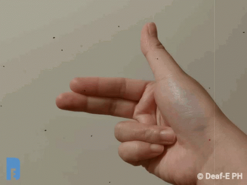 Hand Sign Language GIF - Hand Sign Language Deaf GIFs