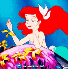 ariel he loves me not little mermaid ariel he loves me not little mermaid