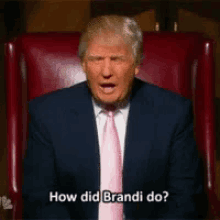 The Apprentice GIF - The Apprentice Donald Trump How Did Brandi Do GIFs
