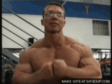 Muscles GIF - Bodybuilder Muscles Gains GIFs