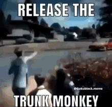 Robtopsdog Tunk Monkey GIF - Robtopsdog Tunk Monkey Running GIFs