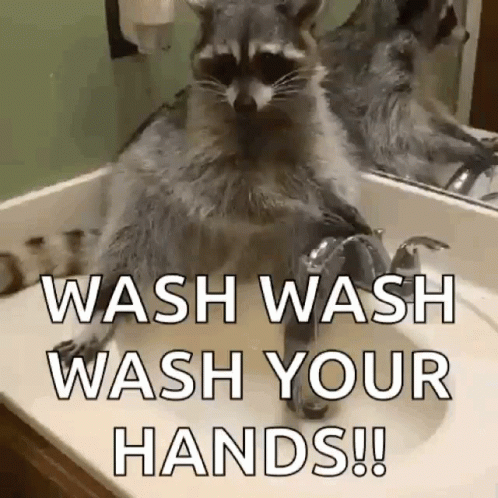 Germaphobe Wash Your Hands GIF - Germaphobe Wash Your Hands Disinfect GIFs
