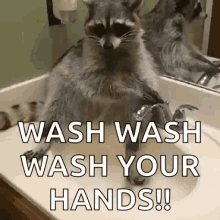 Germaphobe Wash Your Hands GIF - Germaphobe Wash Your Hands Disinfect GIFs