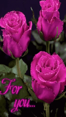 pink roses shiny sparkle glitter