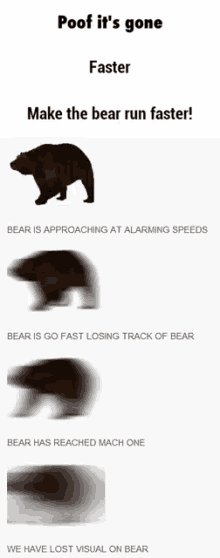 Bears Fast GIF - Bears Fast Speedy GIFs