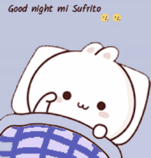 Goodnight Sofrito Fritule GIF - Goodnight Sofrito Sofrito Fritule GIFs