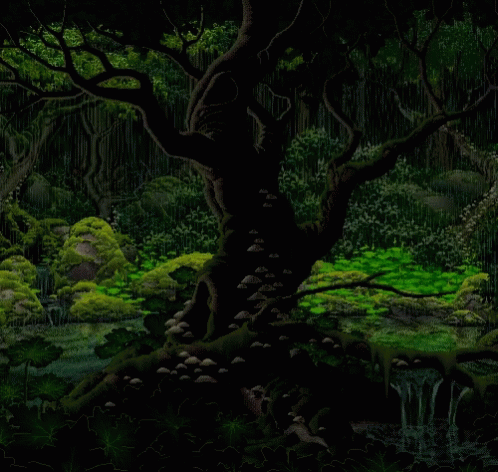 Forest GIF - Forest Big Tree - & Share GIFs