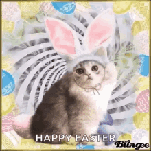 Happy Easter Cat