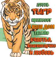 Tiger Ninisjgufi Sticker - Tiger Ninisjgufi 2022 Stickers