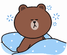 brown bear cute wake up sleepy morning