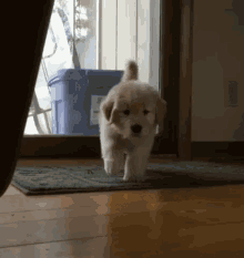 Puppy Retriever GIF - Puppy Retriever Golden GIFs