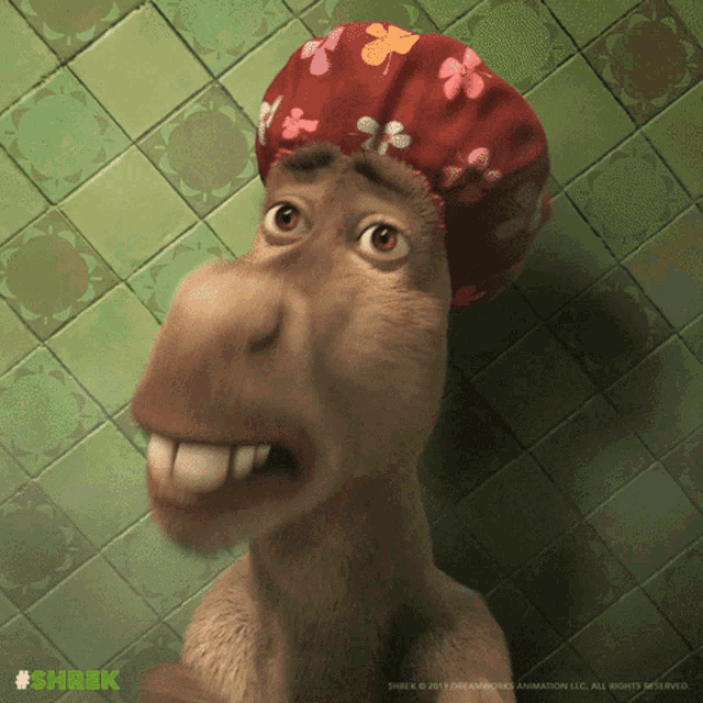 Scared Donkey GIF - Scared Donkey Shrek GIFs