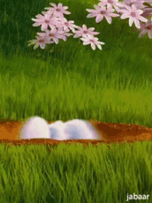 bunny snooping