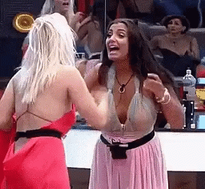 fighting,shouting,Cat Fight,gif,animated gif,gifs,meme.