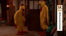 chicken gallagher nrdd nicky harper chicken gallagher nrdd nicky harper