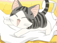 Chis Sweet Home Cat GIF - Chis Sweet Home Chi Cat GIFs