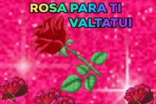 Rosa Para Ti Valtatui Rose GIF - Rosa Para Ti Valtatui Rose For You GIFs