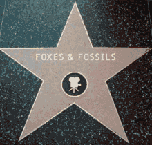 foxes and fossils star logo
