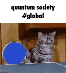Quantum Society Quantum Society Global GIF - Quantum Society Quantum Society Global Global Chat GIFs