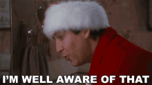 Im Well Aware Of That Clark Griswold GIF - Im Well Aware Of That Clark Griswold Christmas Vacation GIFs