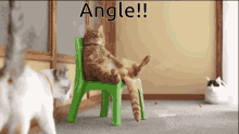 Angle Anglee GIF - Angle Anglee Angllee GIFs
